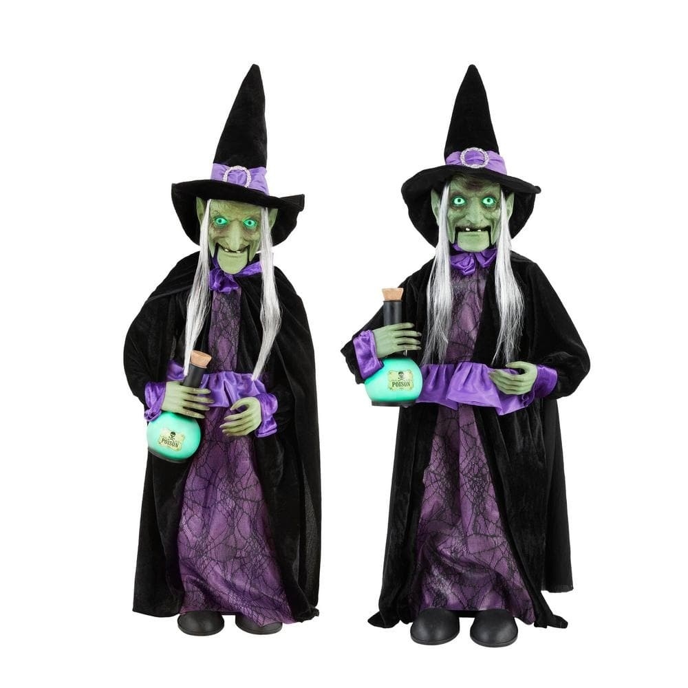 Animated LED Potion Witch Set Of 2 Factory Outlet