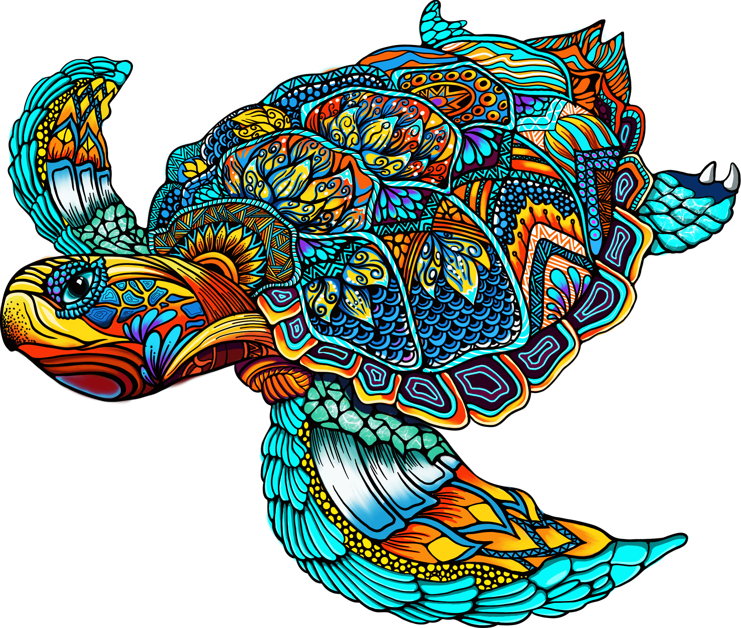 Colourful turtle