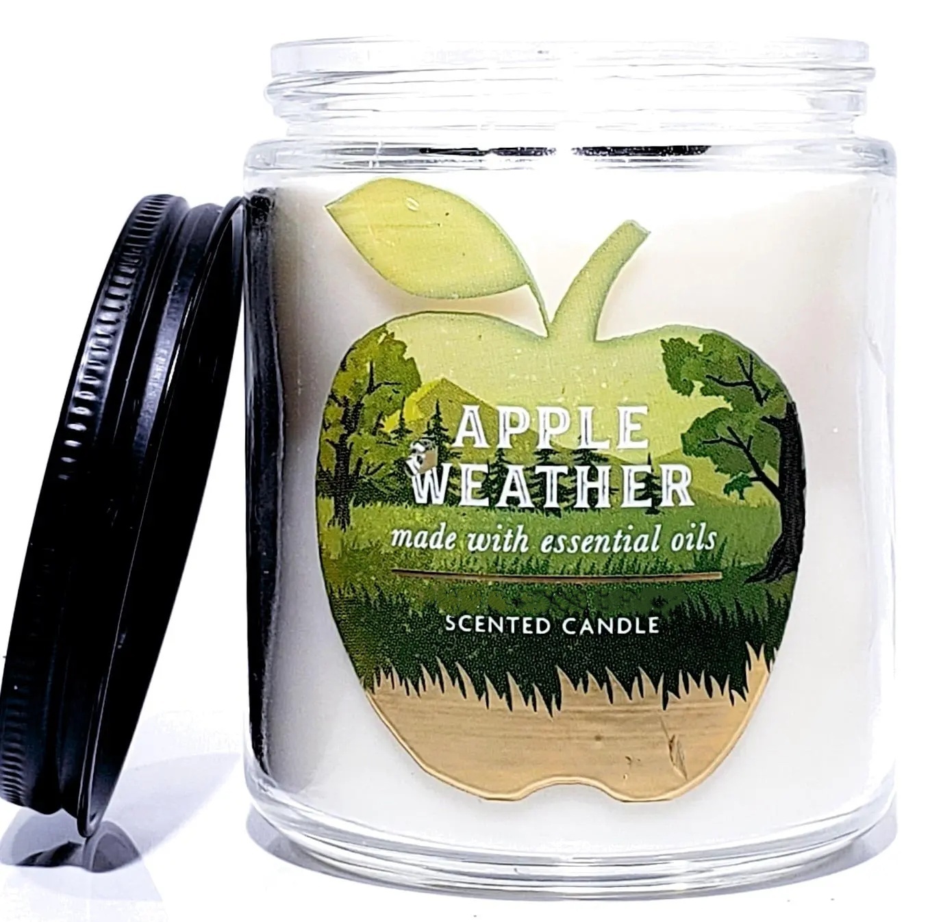 Apple Weather Single Wick Candle, Spiced Apple Toddy Wax Melt