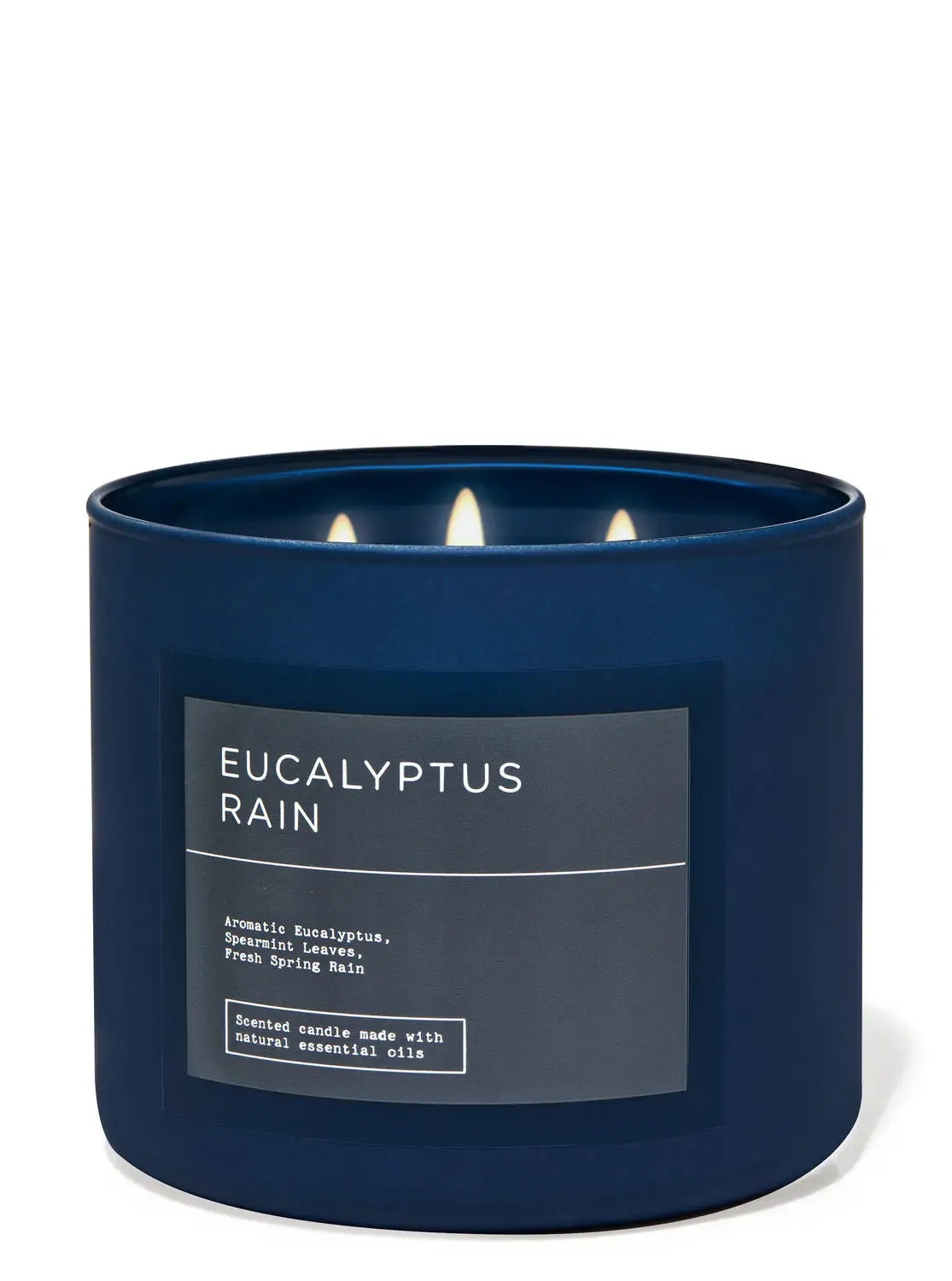 Eucalyptus Rain - Candles/ CLOUD /
