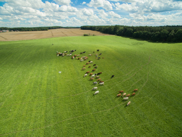 22,300+ Pasture Aerial Stock Photos, Pictures & Royalty-Free Images -  iStock | Pasture aerial view