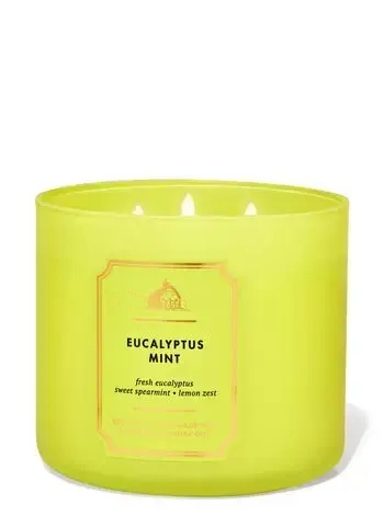 Eucalyptus Mint 3-Wick Candle