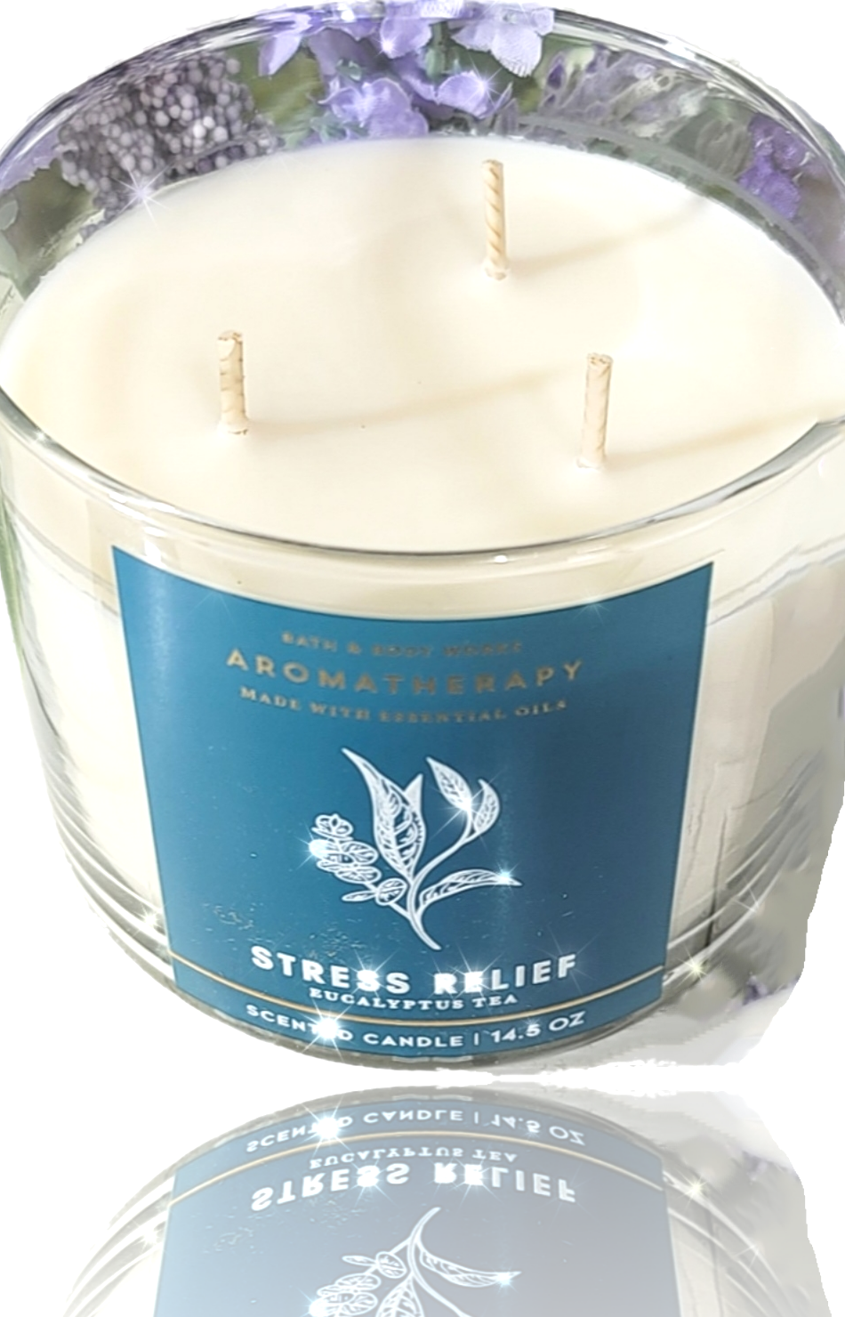 Eucalyptus Tea 3 Wick Candle Stress Relief Online Outlet Store