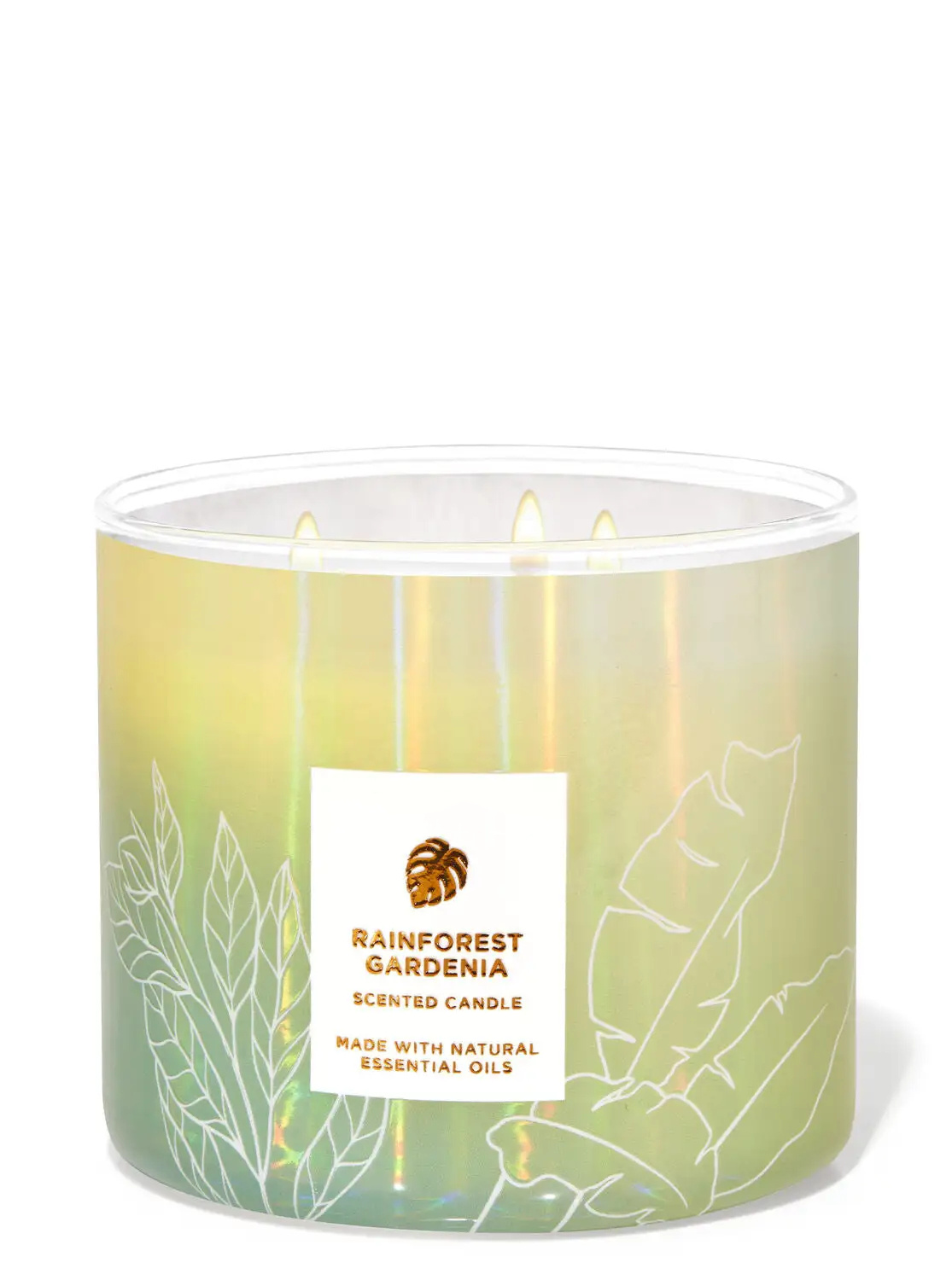 Rainforest Gardenia 14.5oz - candles / CLOUD